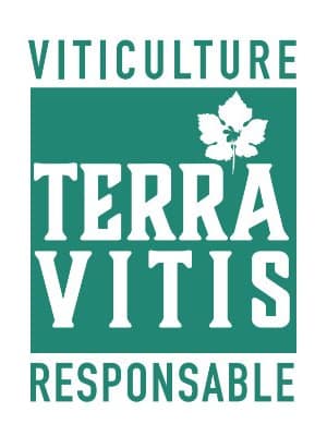 logo terra vitis 1