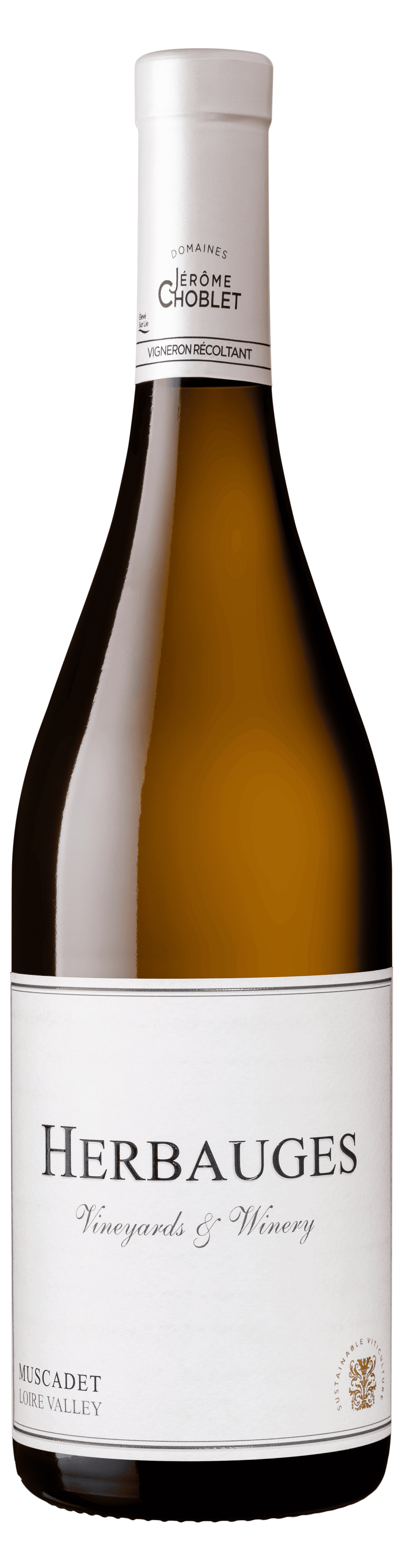 Vin blanc - Muscadet
